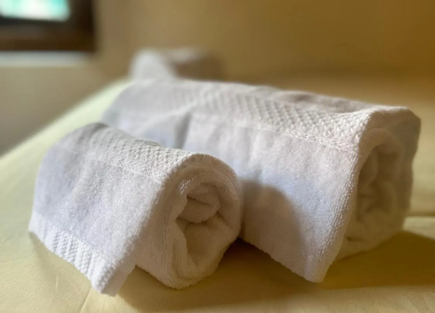 C E Posto Per Te Petfriendly Apartment Carrara