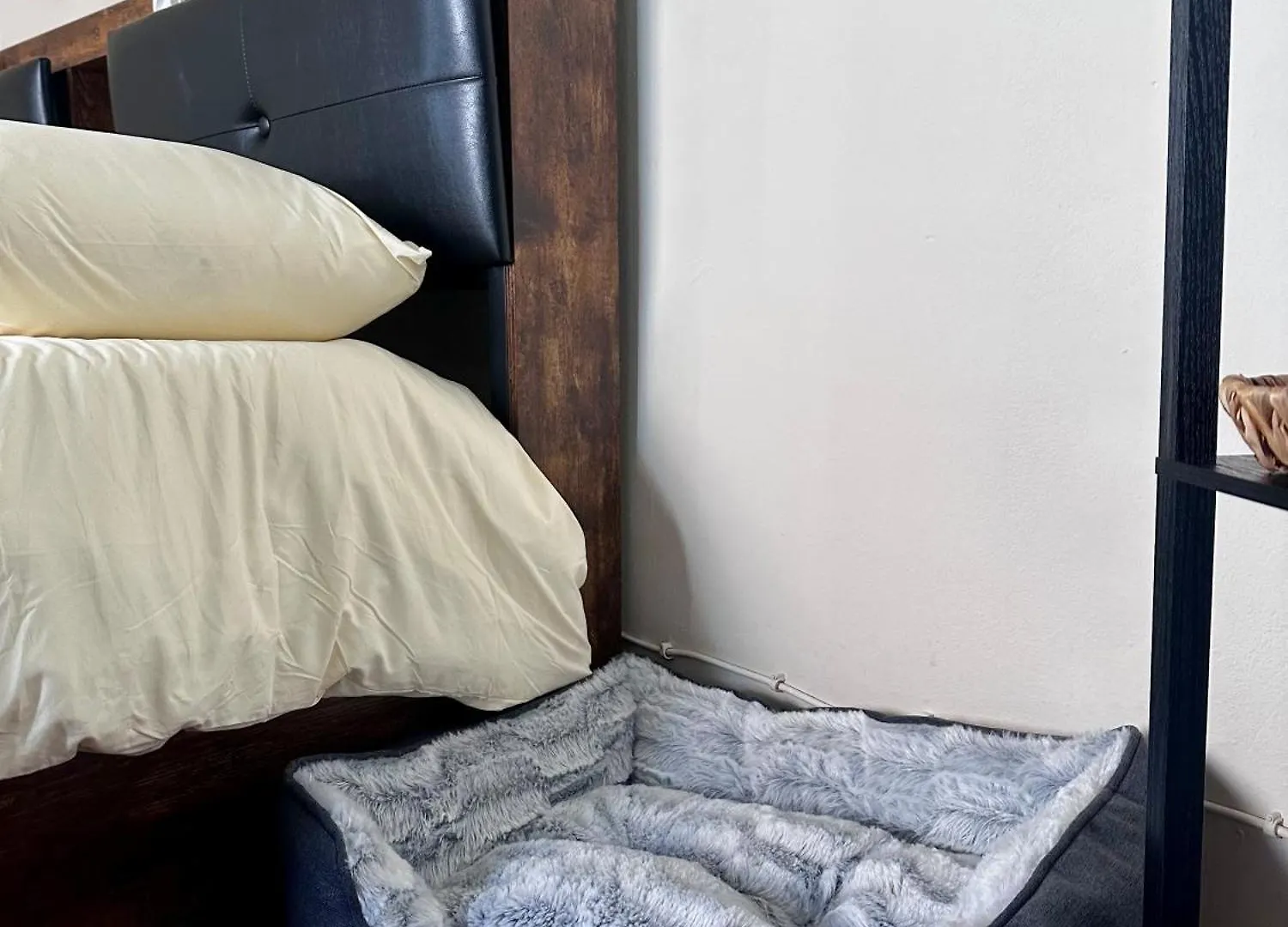 C E Posto Per Te Petfriendly Apartment Carrara Italy