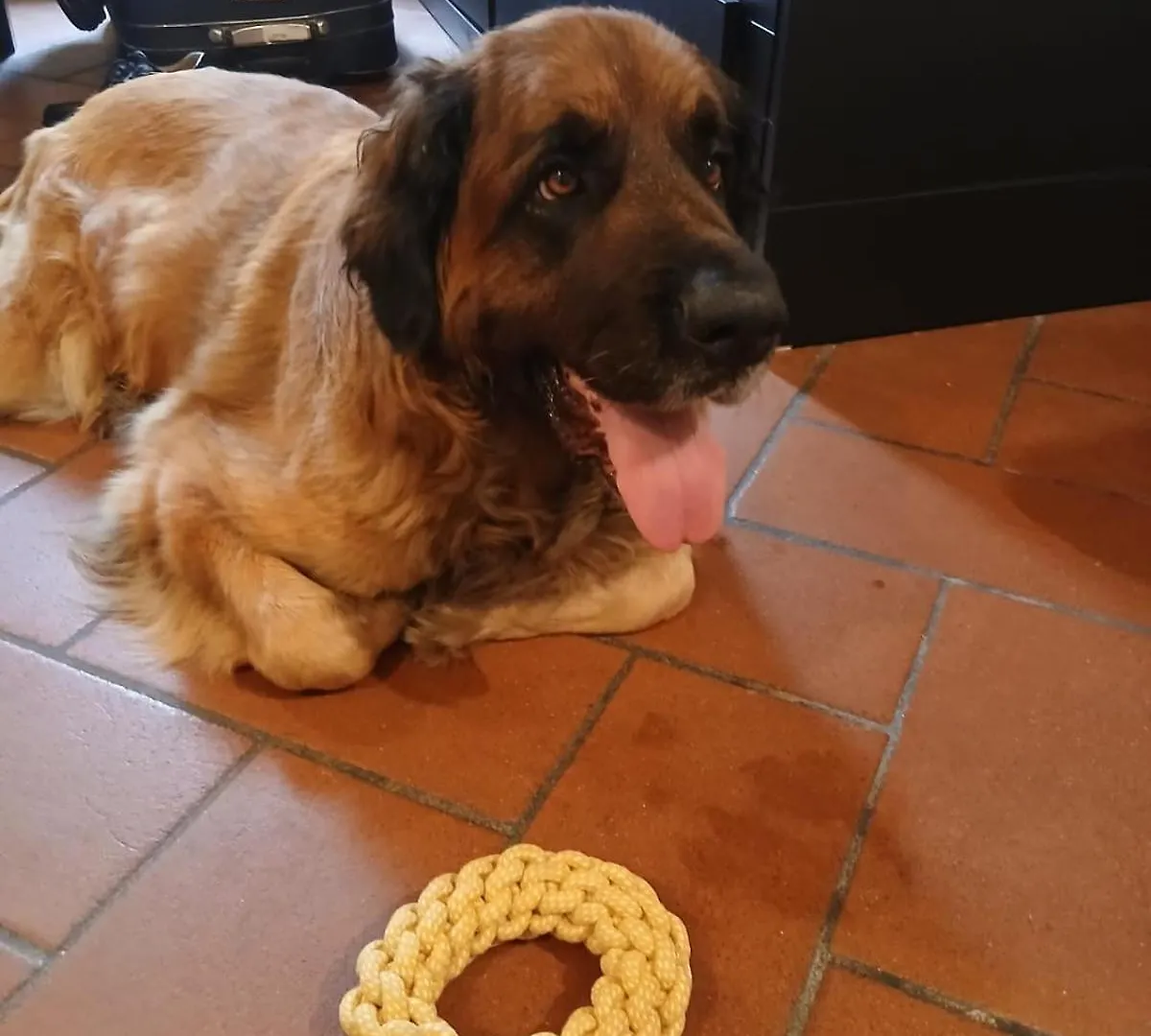 Ferienwohnung C E Posto Per Te Petfriendly Carrara