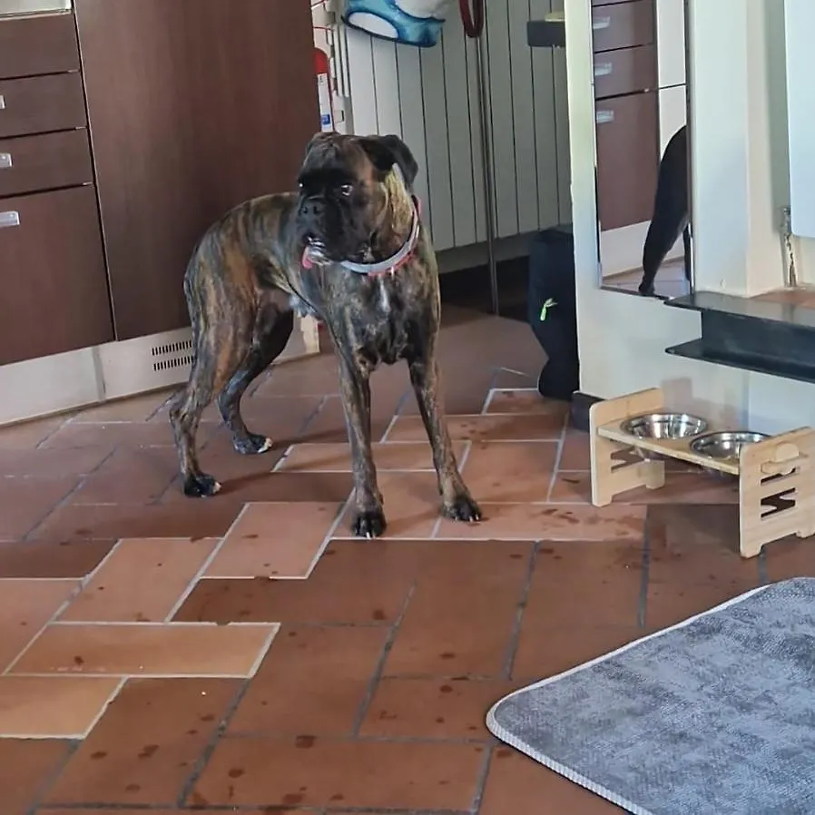 Apartment Ferienwohnung C E Posto Per Te Petfriendly Carrara